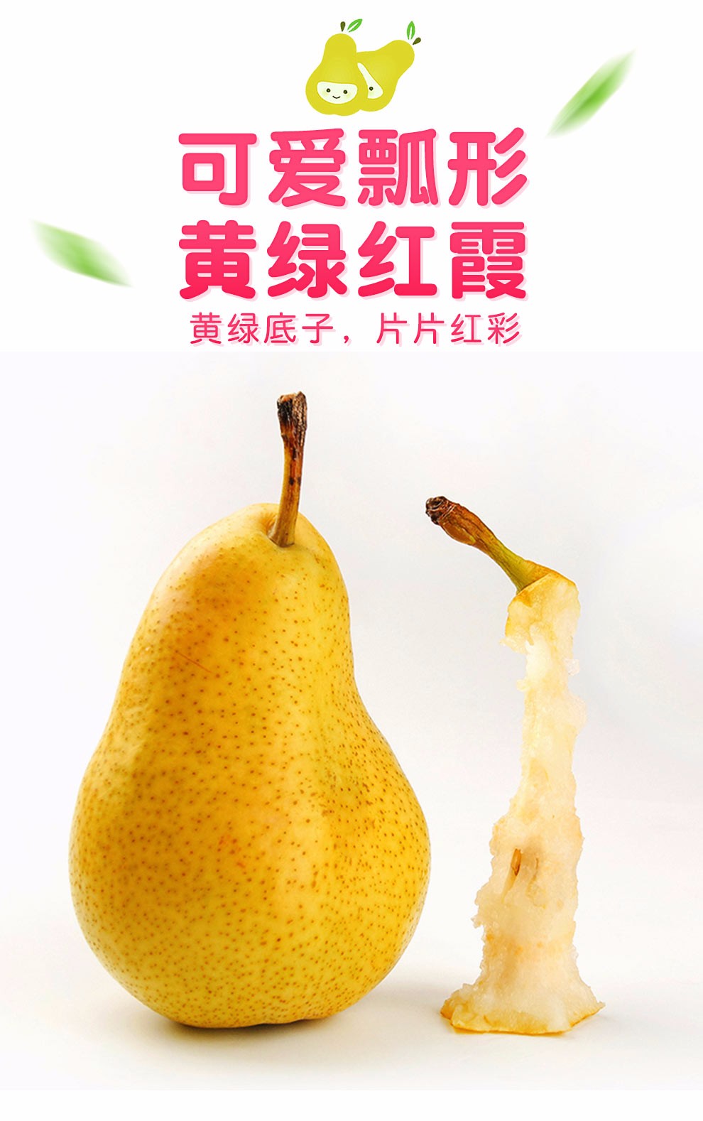 沙窝曙光 山东烟台太婆梨 大头梨软梨啤梨洋梨葫芦梨 新鲜水果 5斤装