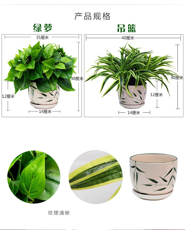 中号白盆绿萝品牌: 映容 商品名称:映容 仿真绿植盆栽 假绿萝盆景装饰