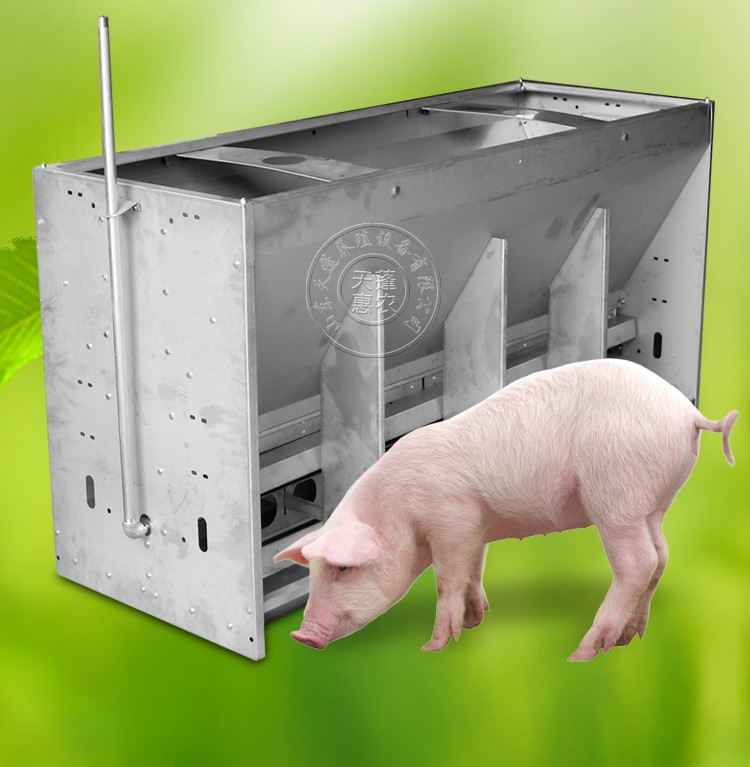 天蓬惠农 猪用干湿料槽自动下料自由采食槽猪食槽304不锈钢育肥猪料槽