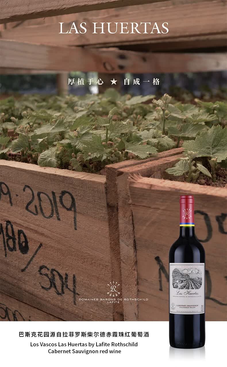 稀有14度拉菲罗斯柴尔德巴斯克花园红葡萄酒干红进口红酒整箱装