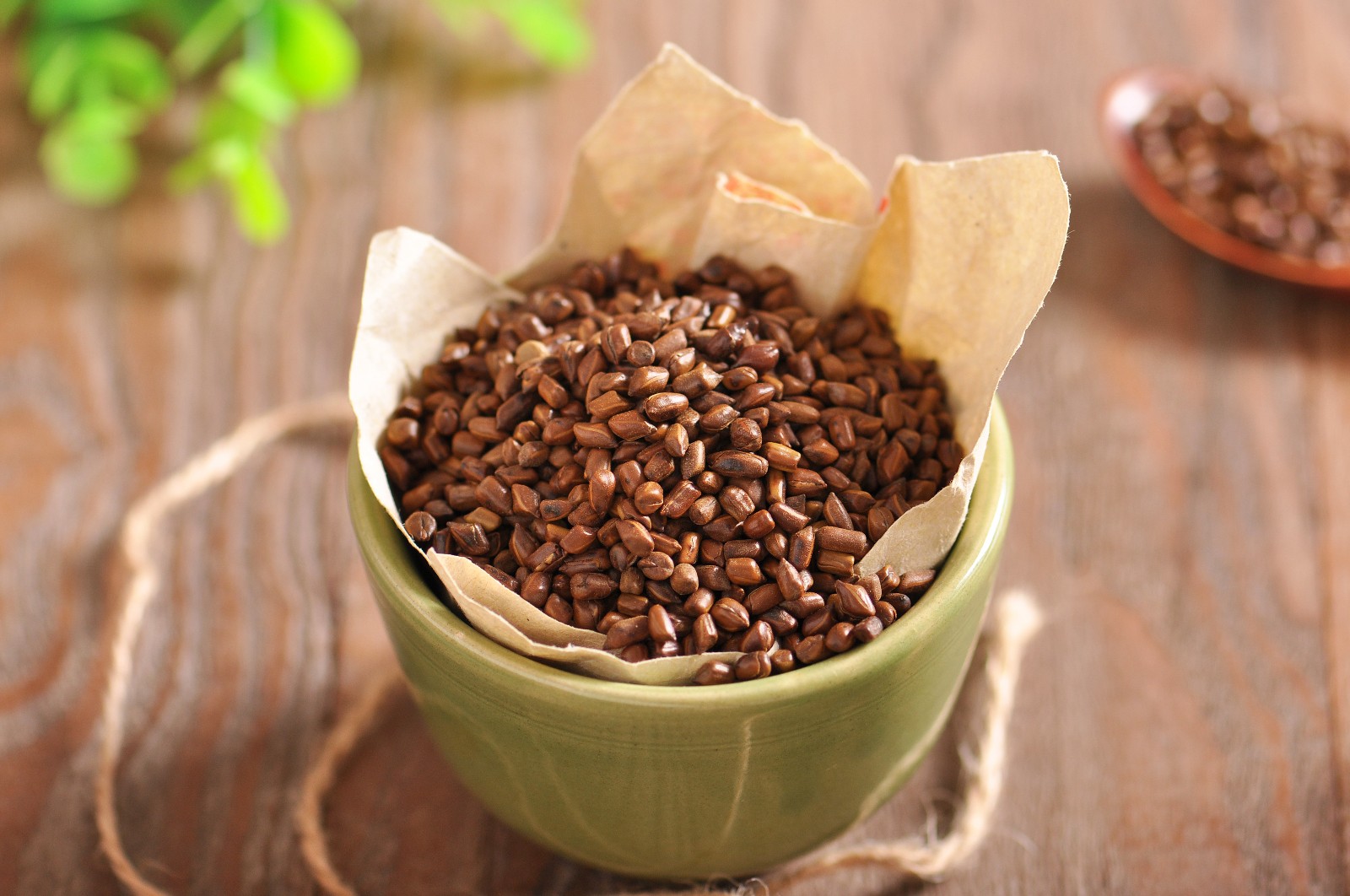 仲景炒决明子200g炒决明子200g