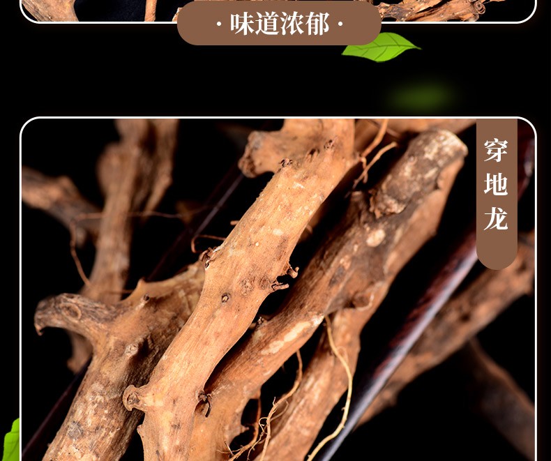 栢晟穿地龙东北地龙骨泡酒穿地龙穿地龙500g