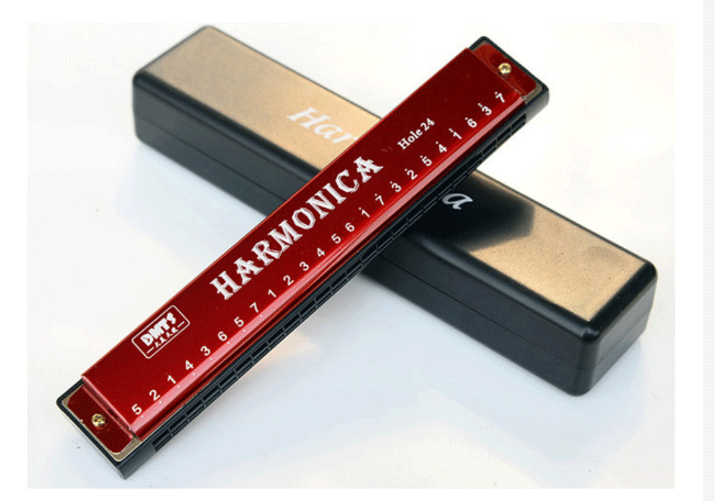 c调口琴儿童乐器布鲁斯初学者成人玩具口琴24孔钛金口琴黑琴盒乐谱