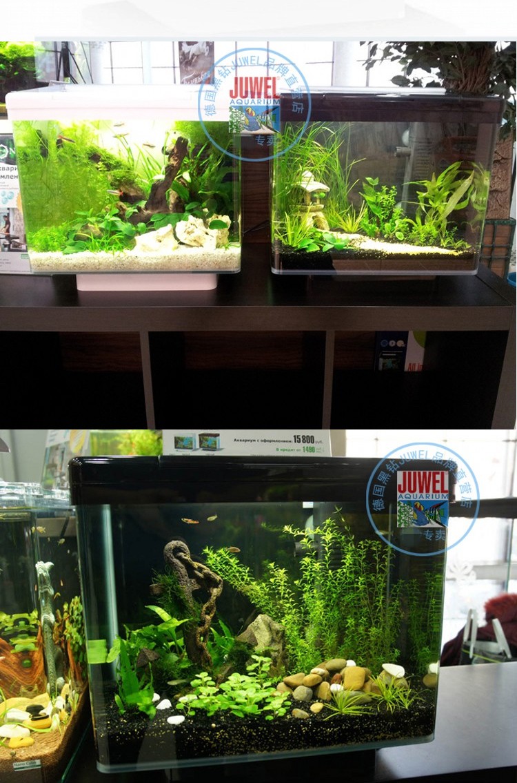 juwel德国黑钻鱼缸水族箱生态桌面金鱼缸玻璃迷你小型客厅懒人免换水