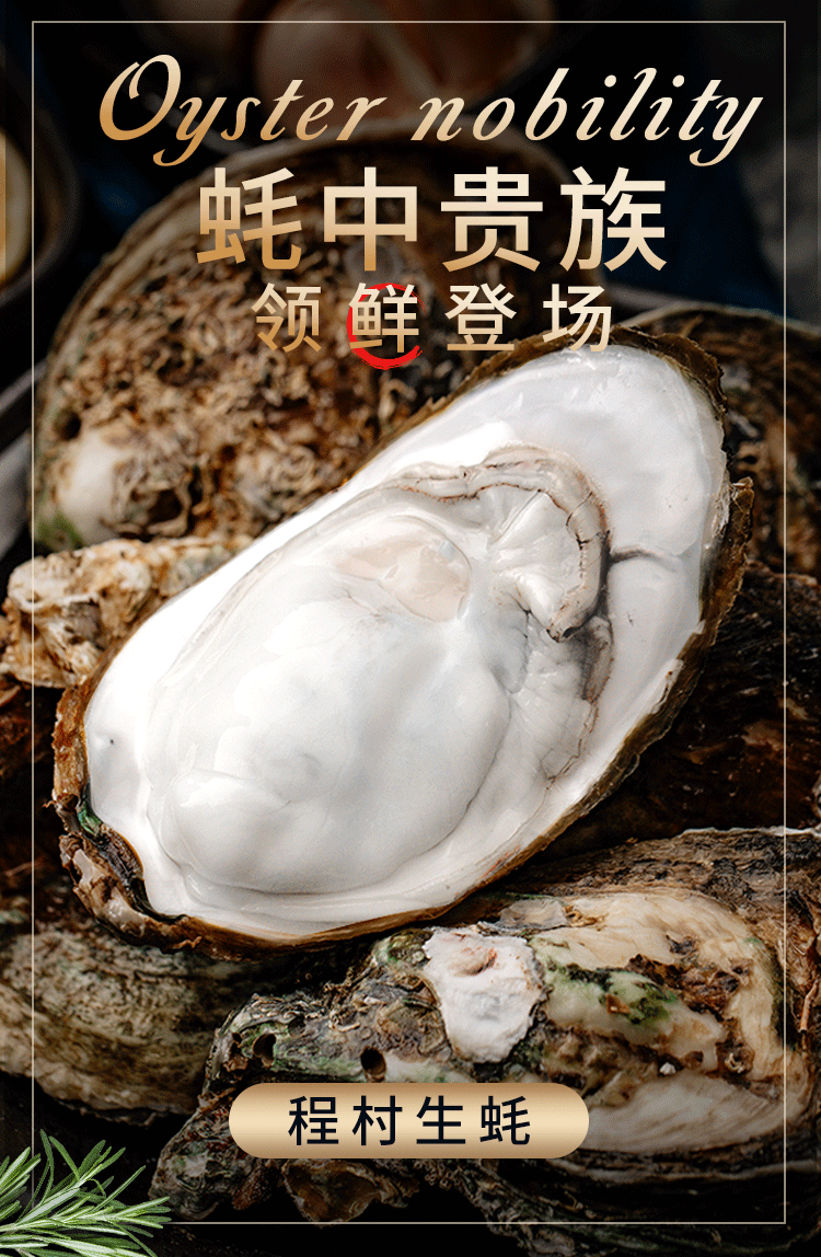 【活鲜】品珍鲜活 程村生蚝 鲜活5斤装 牡蛎 海蛎子 烧烤火锅食材