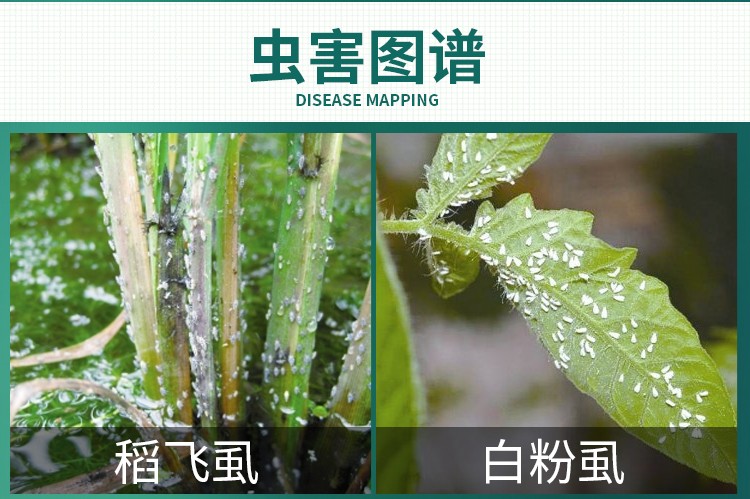 正器 联介木杀10%吡虫啉噻嗪酮稻飞虱蚧壳虫白粉虱农药杀虫剂 250ml