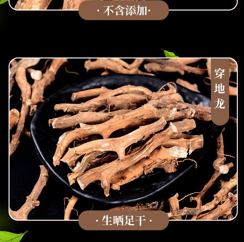 栢晟穿地龙东北地龙骨泡酒穿地龙穿地龙500g