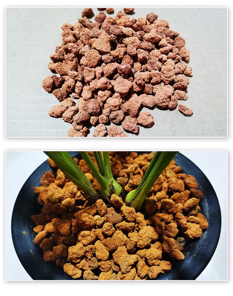 刘阁兰花红土红石头颗粒土铺面植料花卉绿植专用营养土兰花土铺盆面石