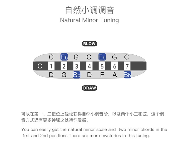 7七孔蓝调布鲁斯彩色初学口琴paddy乡村小调时尚挂饰bf 【标准音阶】