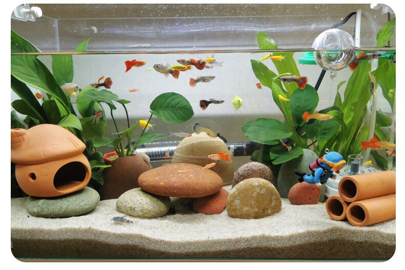 异景园天然长江彩石鱼缸石造景装饰石头装饰彩色鹅卵石摆件叠石水草