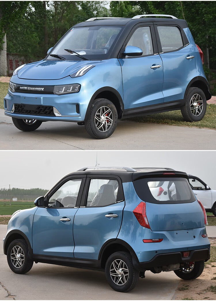 新能源电动汽车成人四轮车家用小型代步电瓶4轮轿车女士油电两用小型