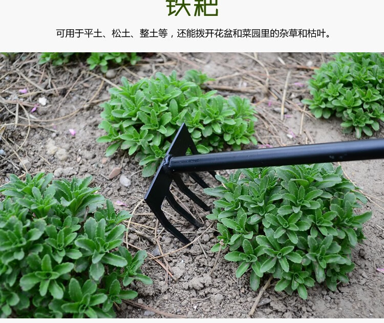 果花园艺园林种花种菜工具耙子铲子铁锹耙子除草松土翻地农具木柄铁头