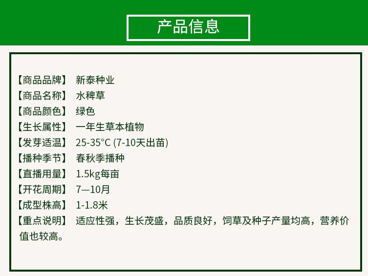 昂景水稗草种子小米草子高产水草耐水淹耐旱湖南稷子养殖鱼虾蟹牧草籽