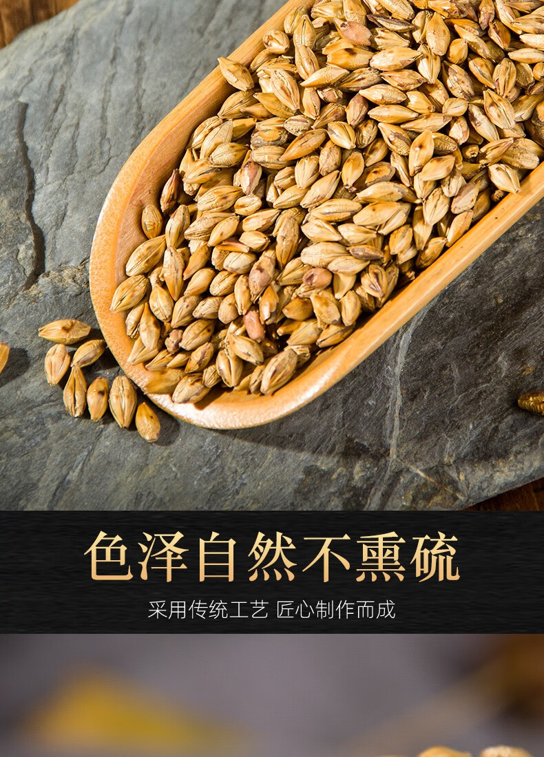 祁曦堂大麦茶原味烘焙型炒麦芽茶浓香型茶叶500g精选大颗粒炒麦芽茶