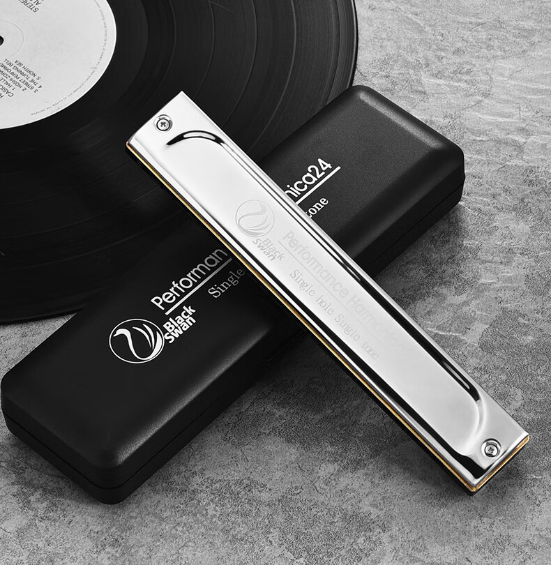 天鹅单排单孔口琴24孔高级成人初学单音c调abdefg调准专业演奏乐器c调