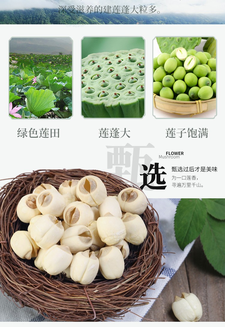 建莲建宁莲子精选大颗粒无熏硫有机认证通心白莲子福建特产干货有机无