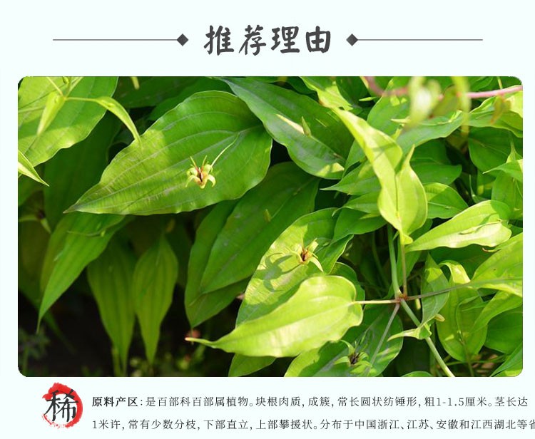 中药材湖北生百部切片500g百步干虱子百条根可泡水洗头发毛发百部草