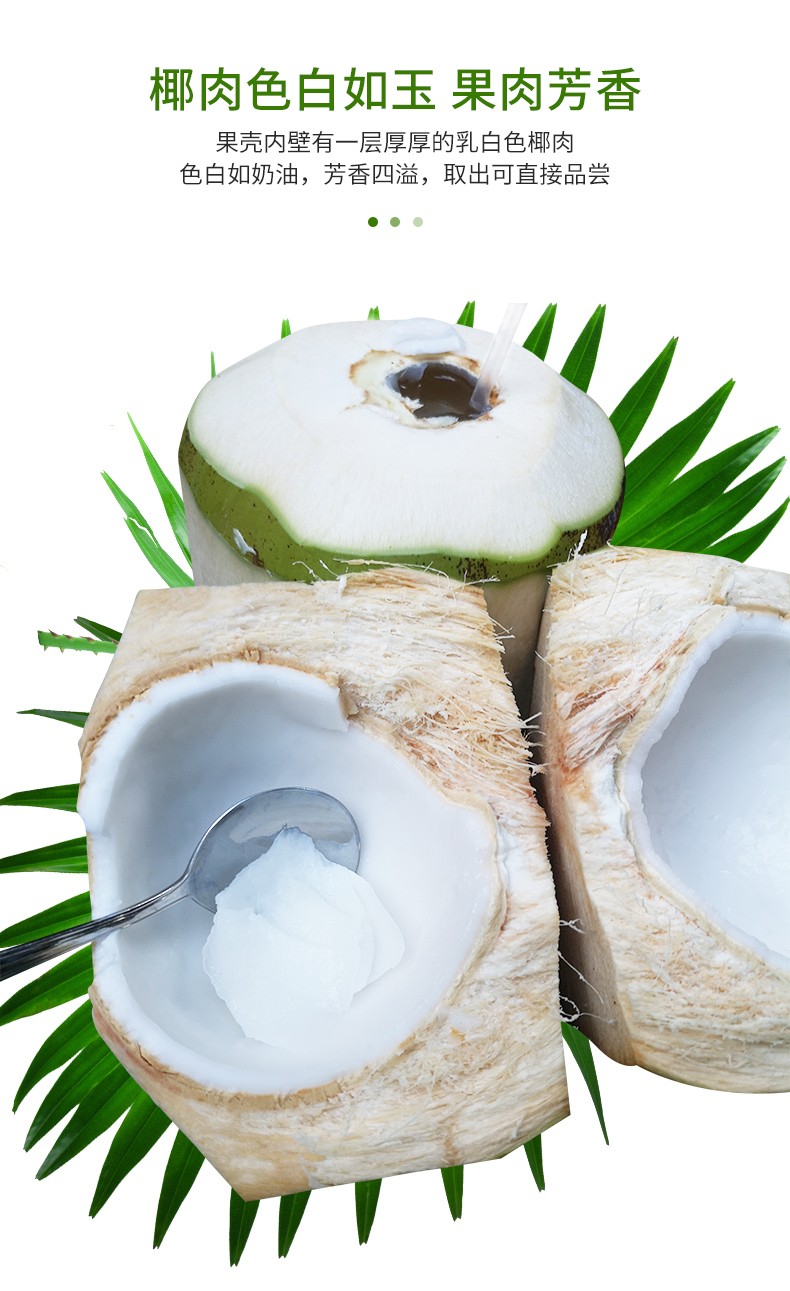 海南椰青带皮椰子青椰热带水果孕妇水果六个装【图片