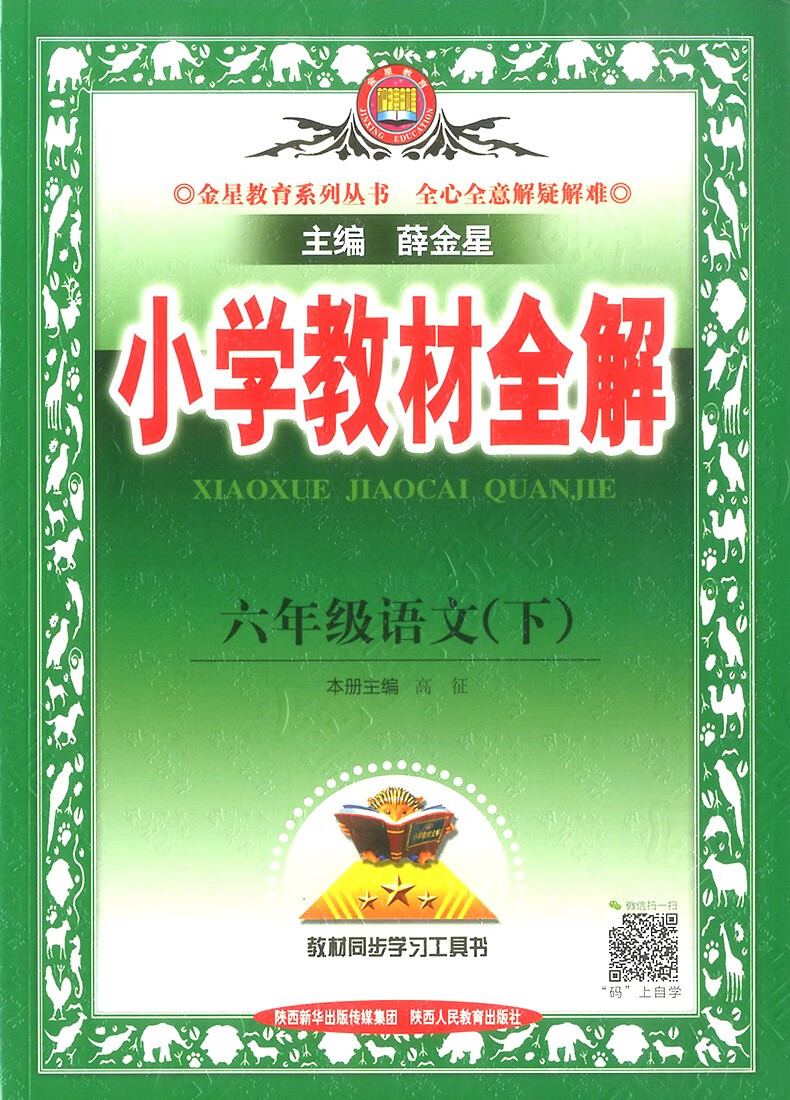 2021新版小学教材全解六年级下册语文人教版6年级下册薛金星语文书