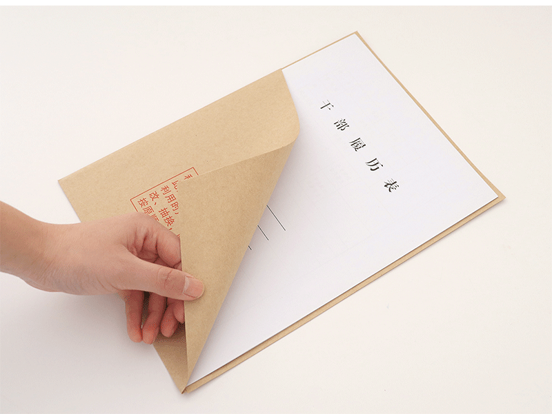 韵韬办公(yuntaobangong)100个 a4档案封套档案专用无酸纸袋三角斜角