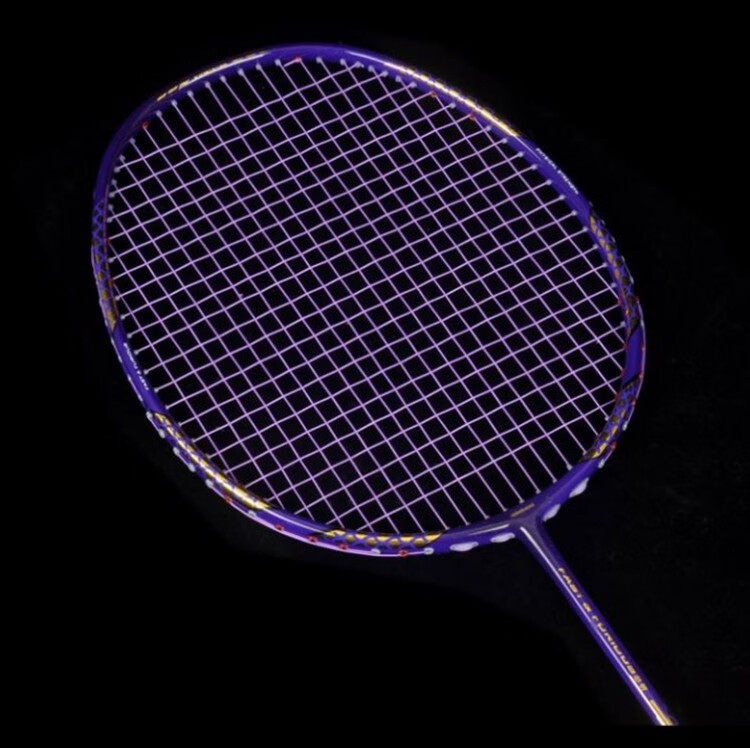 宏胜hongsheng全碳素耐打型羽毛球拍单拍怒斩龙麟超轻9u羽拍怒斩紫金