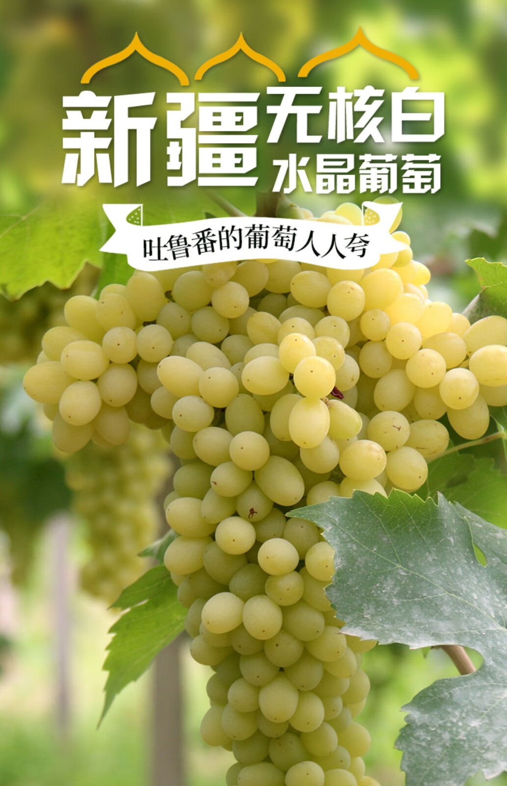 5kg 吐鲁番马奶子葡萄无籽水晶青提子现摘新鲜当季水果整箱装【图片