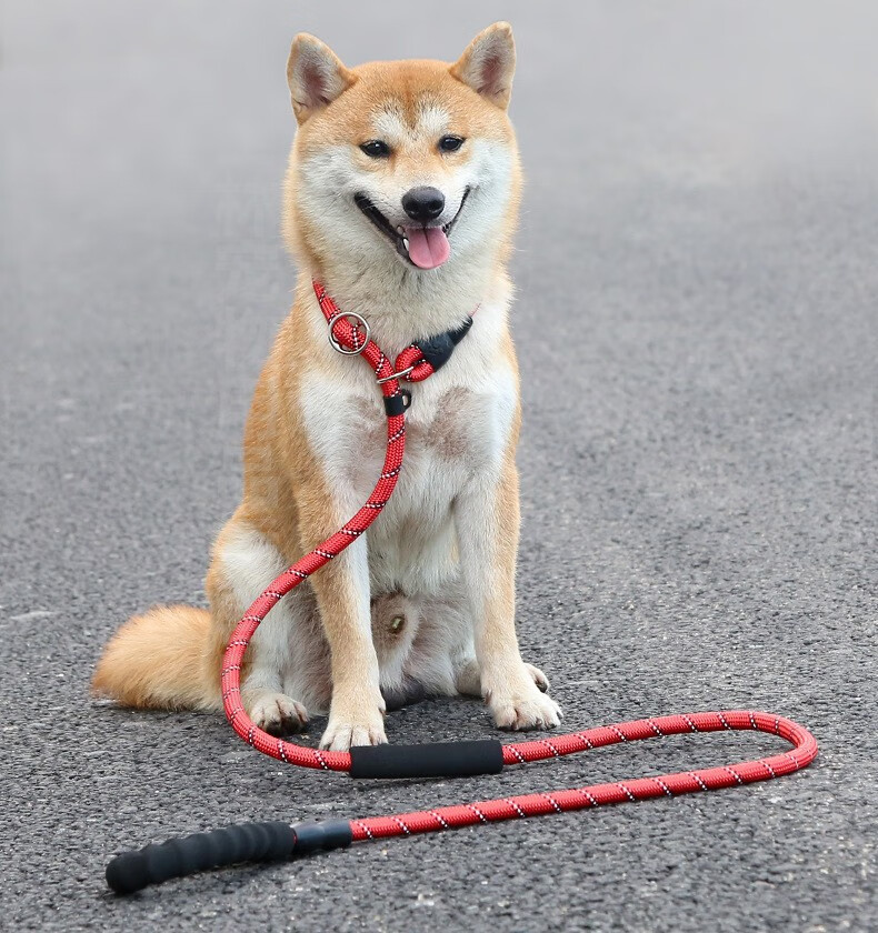 slpc狗狗牵引绳狗链子防爆冲p绳大型犬带反光遛狗绳子柯基泰迪中小型