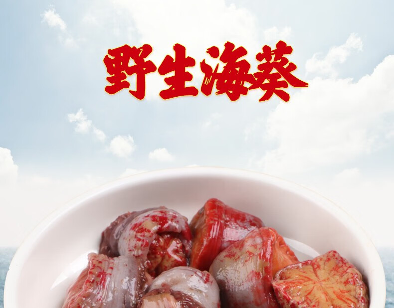 青岛崂山海葵新鲜海葵海鲜水产顺丰航空送礼15kg