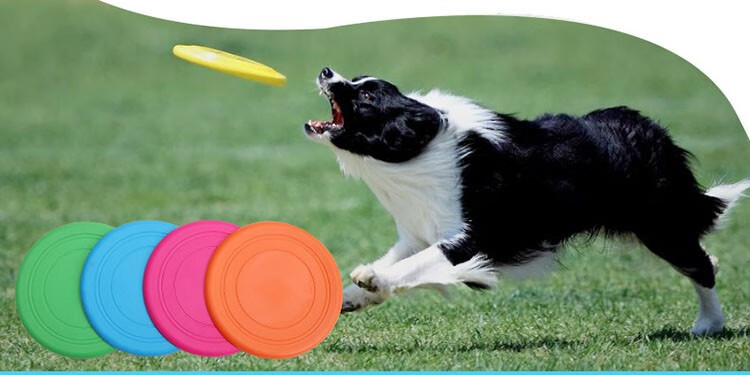 兰衍狗狗飞盘宠物玩具狗飞盘狗互动训练飞盘浮水耐咬软橡胶飞碟橙色5