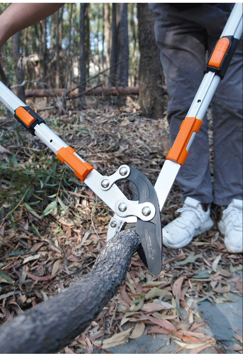 deepbang德国进口伸缩大力剪粗枝剪树枝剪刀修枝剪果树修剪神器园林高