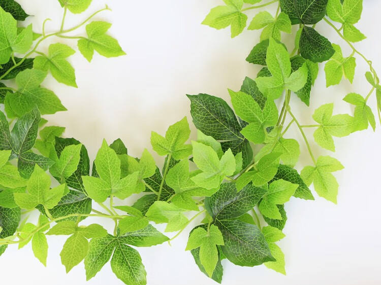 晟玉轩空调下水管道装饰遮挡美化塑料叶子藤条绿藤假仿真树叶空调管道