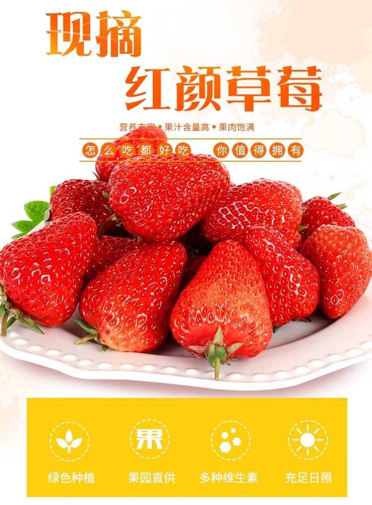 四合鲜诺鲜丹东99奶油草莓