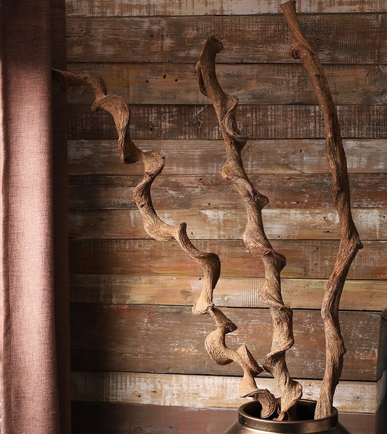 越南进口过江龙树藤干枝餐厅会所样板间装饰柳条干支干花酒店客厅 细