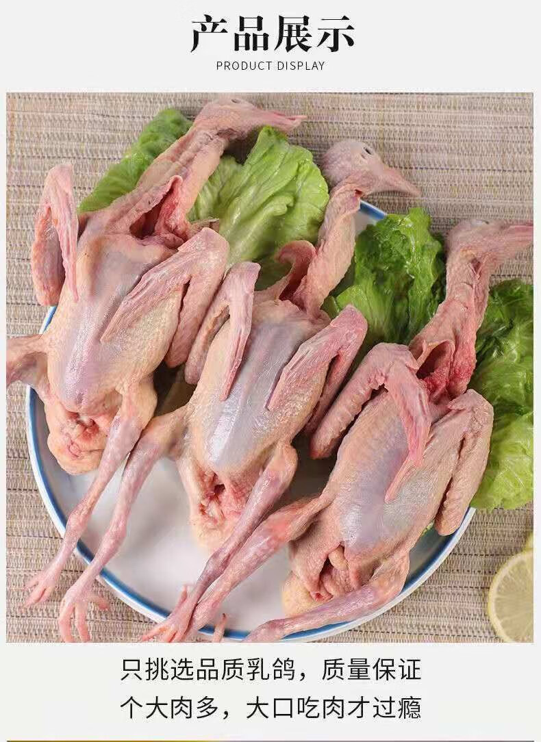 鸽子乳鸽生鲜鸽子肉农家土鸽老鸽子新鲜现杀冷冻煲汤烧烤脆皮乳鸽半