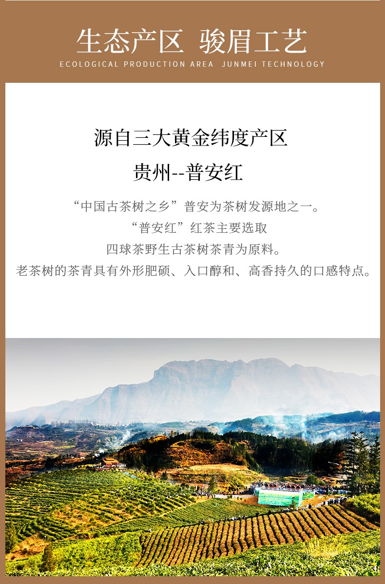 2021年新茶正山堂茶业红茶茶叶特级巴东红普安红古丈红组合装骏眉红茶