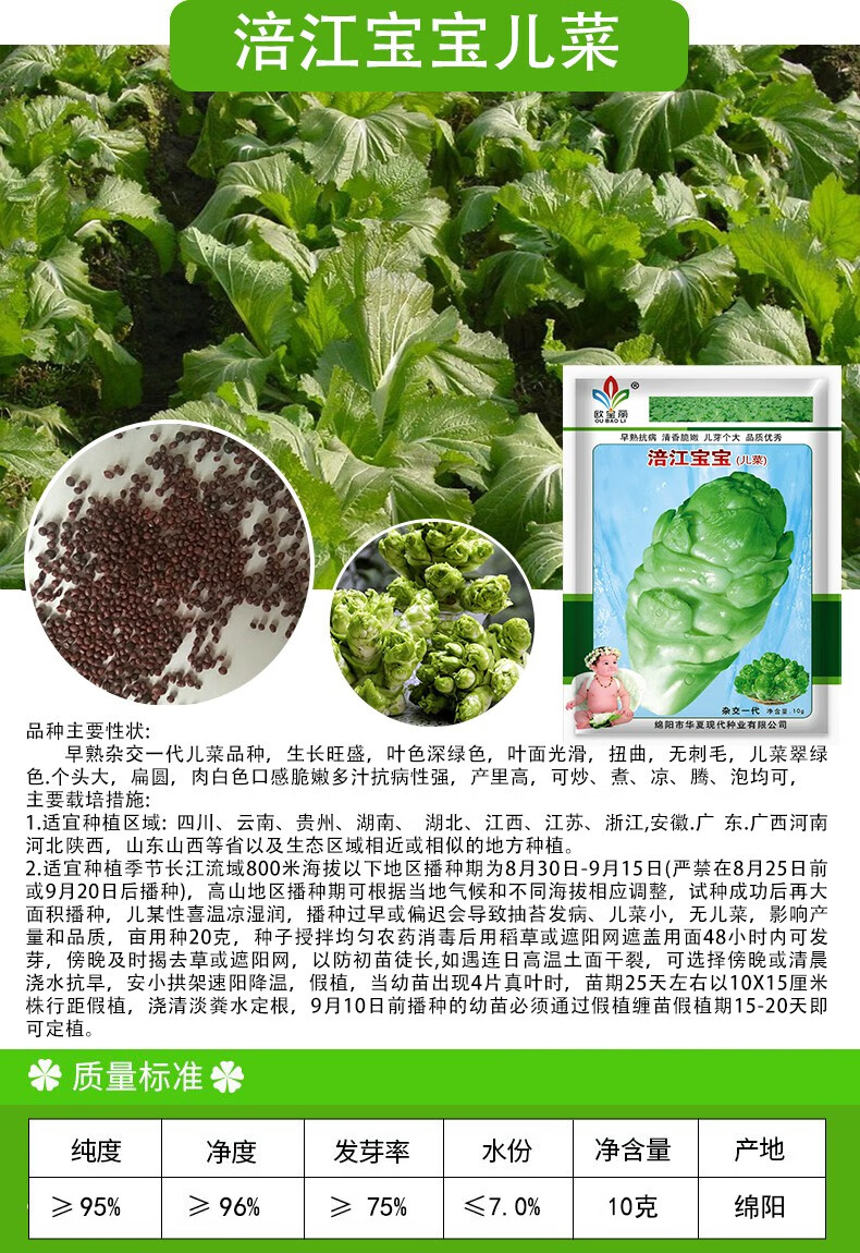 凤鸣雅世 涪江宝宝儿菜种子四川儿菜种籽种子芥菜四季菜种籽娃娃菜
