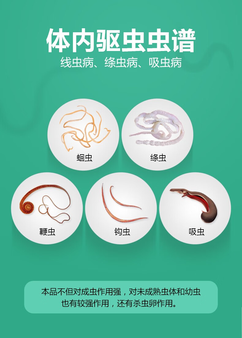 小宠阿苯达挫片宠物体内驱虫药狗狗猫咪幼犬金毛寄生虫线虫绦虫02g4kg