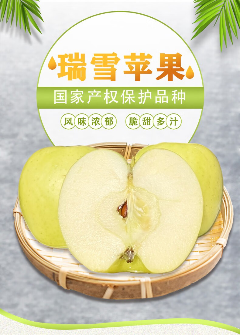 大果礼盒装陕西白水瑞雪苹果新鲜黄苹果陕西苹果脆甜精品大果礼盒装新