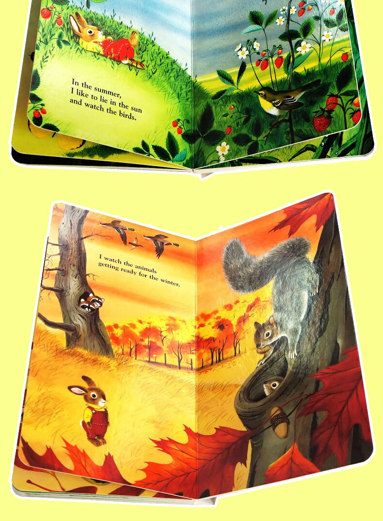 i am a bunny 我是一只兔子 0-3岁 斯凯瑞 英文原版绘本 英语纸板 童