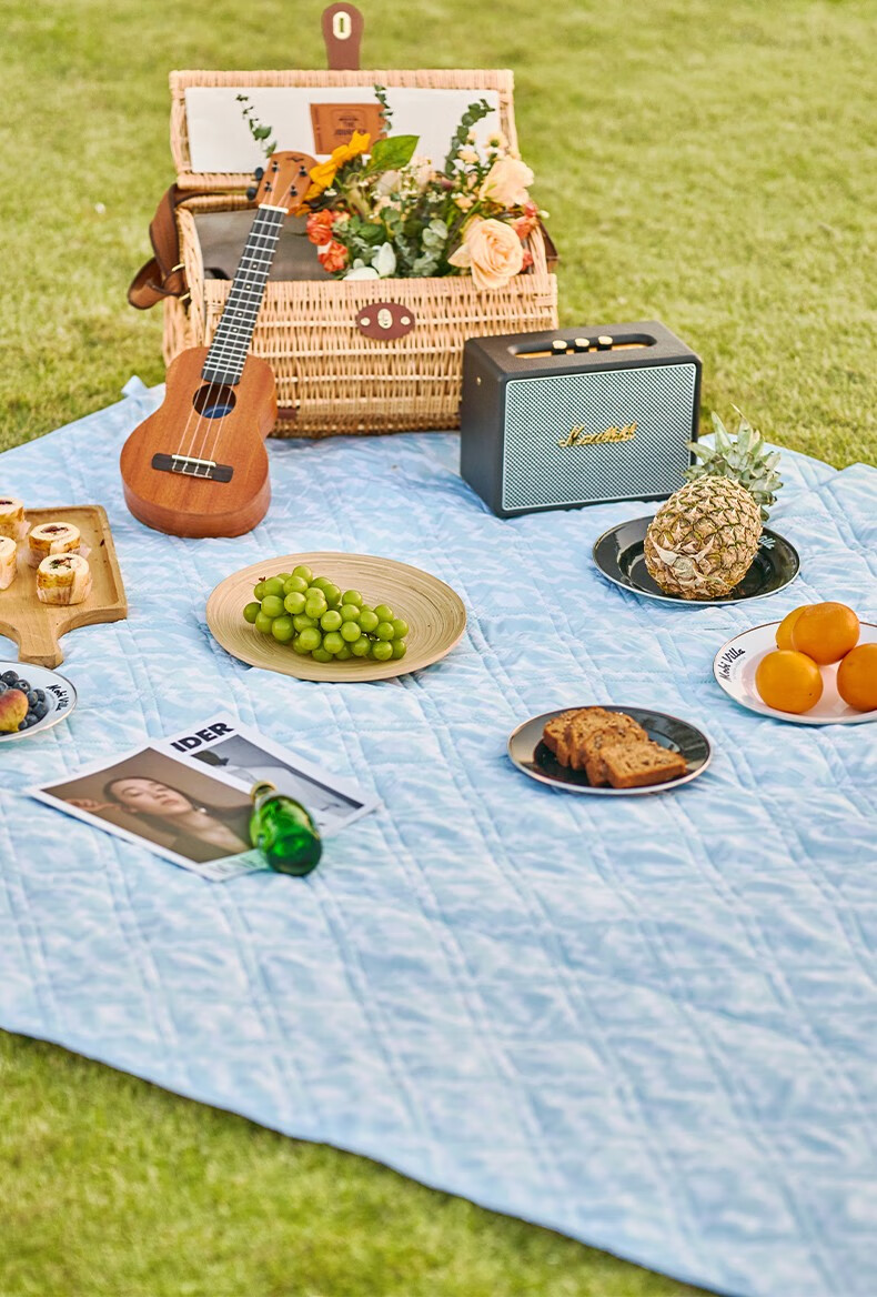 牧高笛mobigarden野餐垫户外露营公园休闲草地毯子地垫折叠便携野餐垫