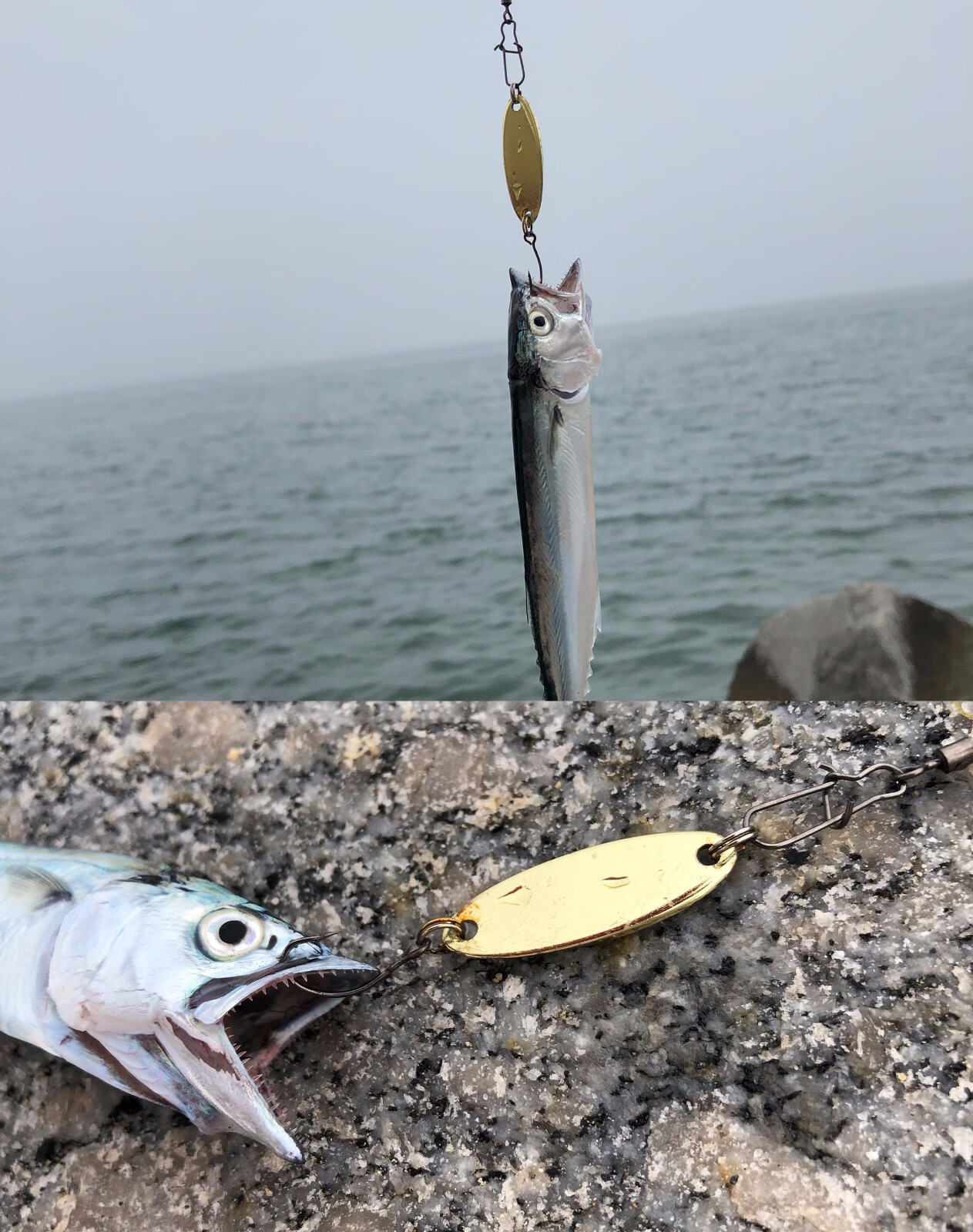 名古川斜切路亚饵马口路亚亮片淡水钓马口白条翘嘴假饵铜材亮片路亚假