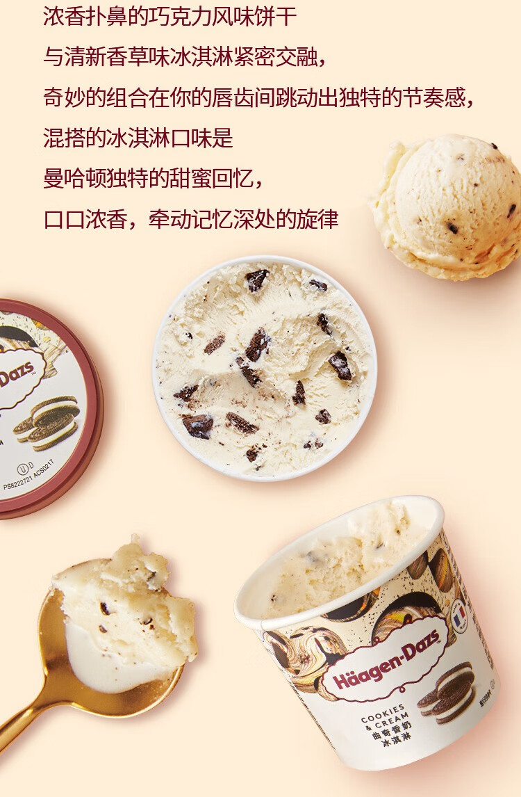 哈根达斯大杯装冰淇淋曲奇香奶口味392g473ml