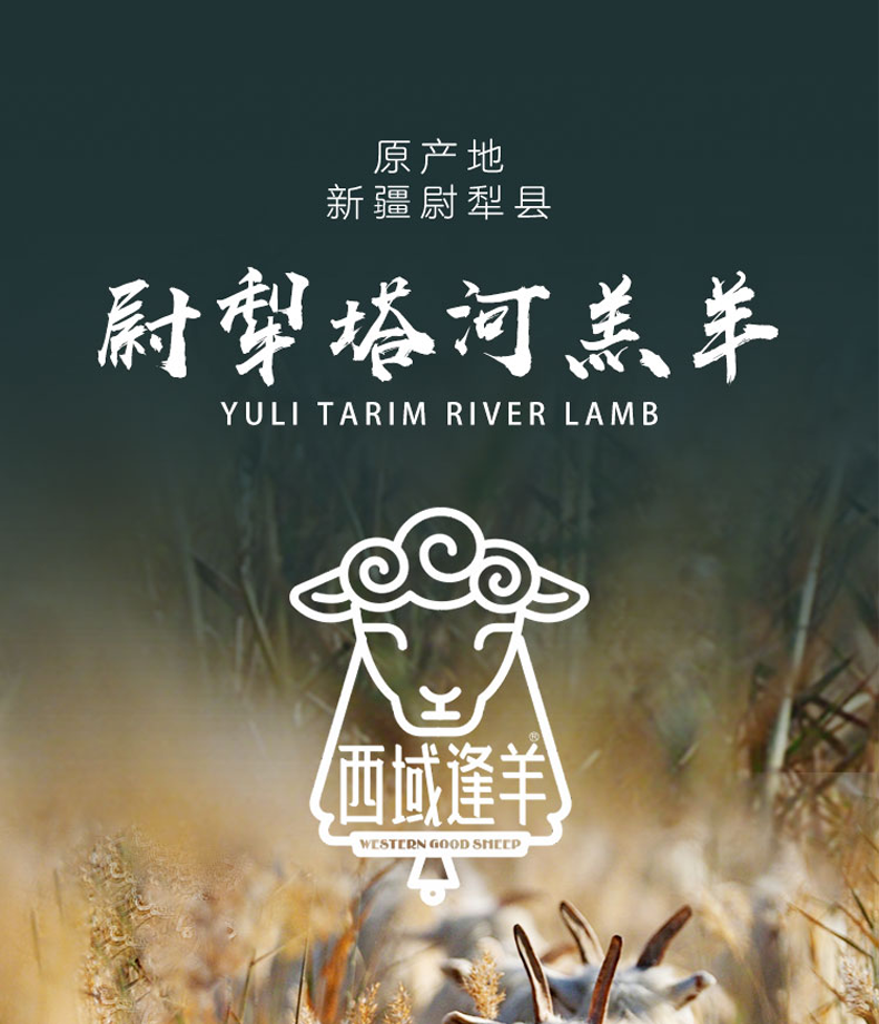 新疆羊肉巴什拜全羊羔尉犁塔河羔羊排羊腿羊蝎子整只白条烤全羊生鲜