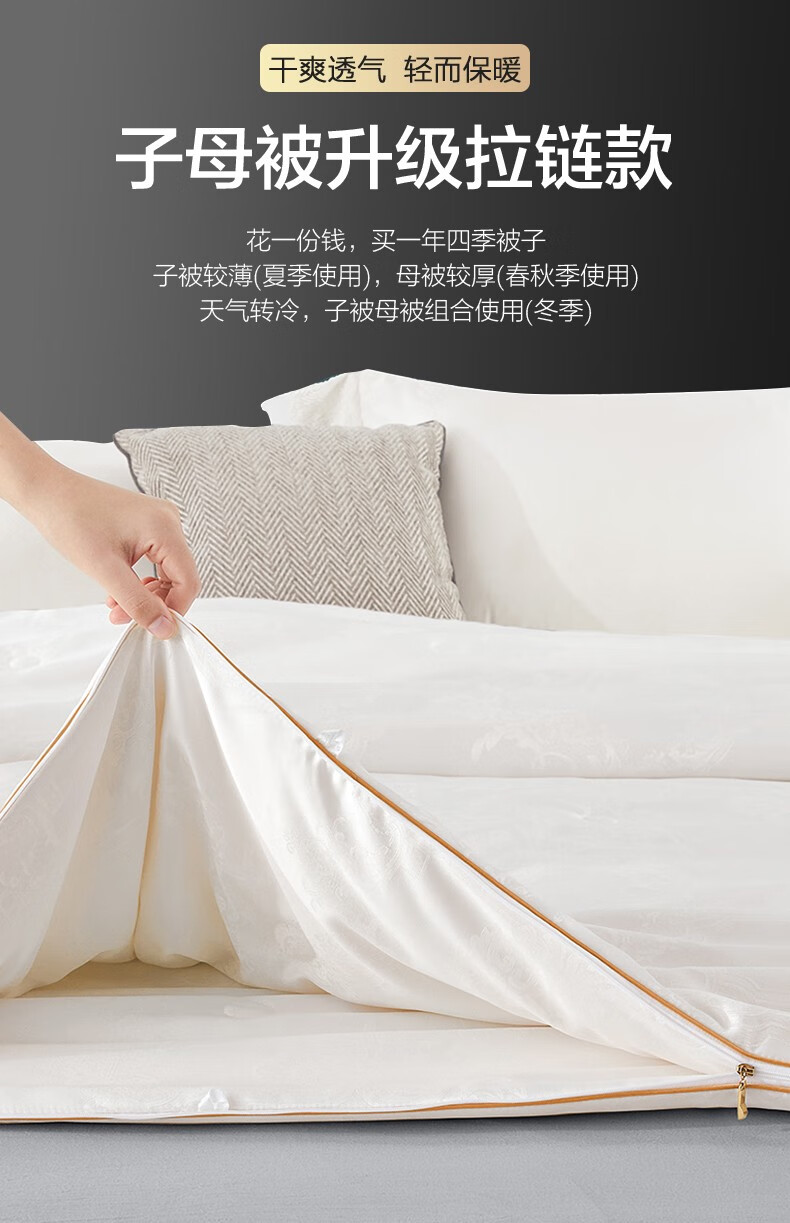 【博洋(beyond)蚕丝被】博洋(beyond) 博洋家纺冬季提花蚕丝被春秋被