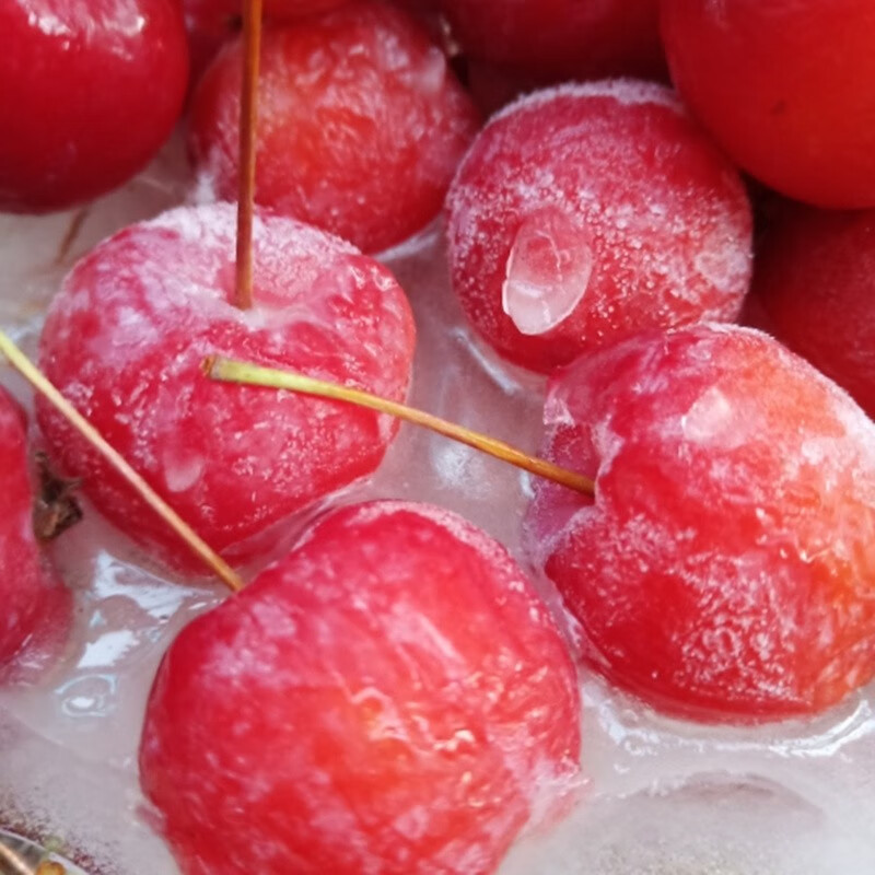 【顺丰/急速锁鲜冷冻】东北冻花红果铃铛果海红冻海棠果冻果孕妇酸甜