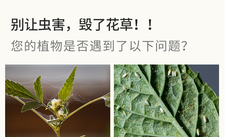 花诺花卉植物杀虫剂喷雾花草绿植土壤除虫剂家用种花药红蜘蛛蚜虫杀虫