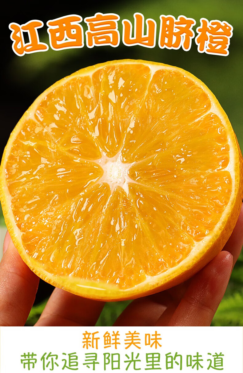 现摘橙子 江西赣南脐橙大果 京东生鲜水果 赣州甜橙 赣南高山脐橙 65