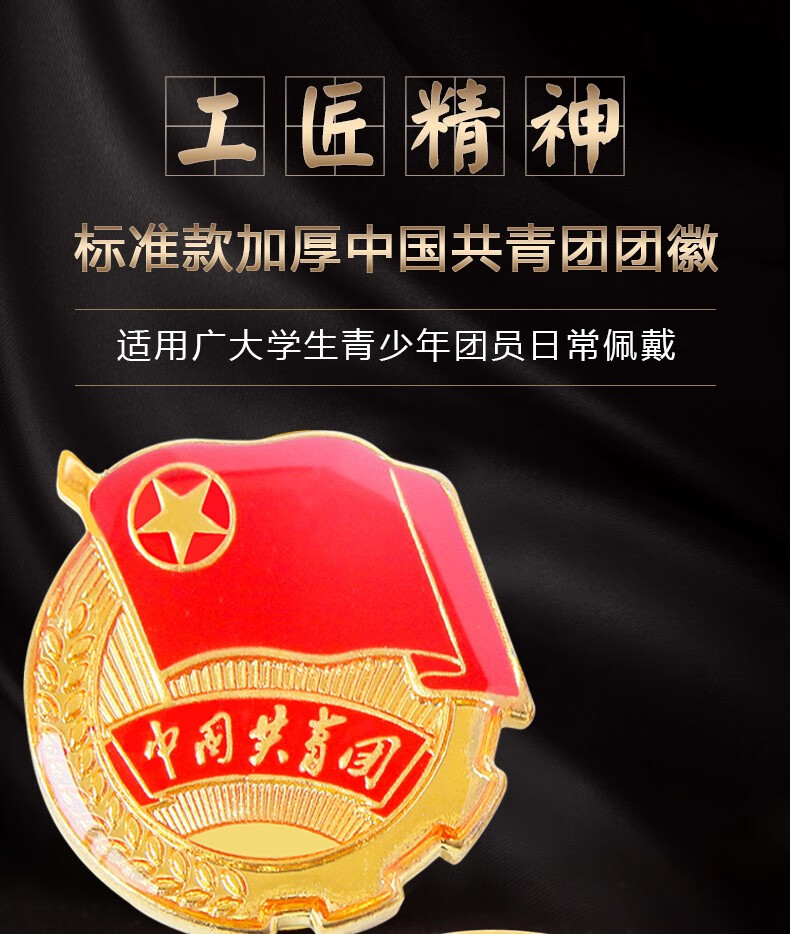 fgacct团徽学校学生用标准型新版中国共青团团员胸针别针式大磁铁扣