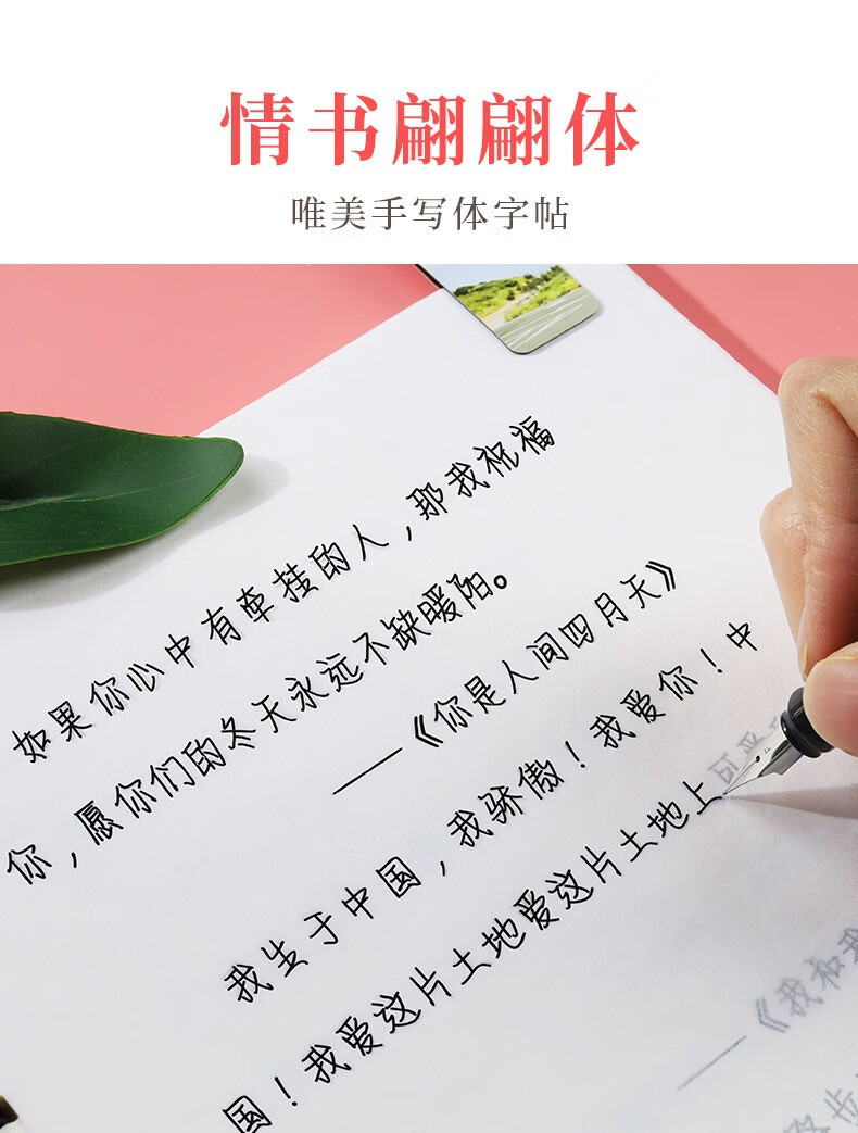 译古 网红手写奶酪陷阱字体手写练字帖成年楷书大学生练字中学生字帖