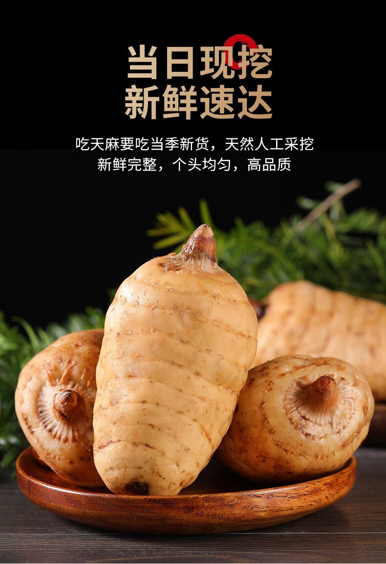 昭通天麻